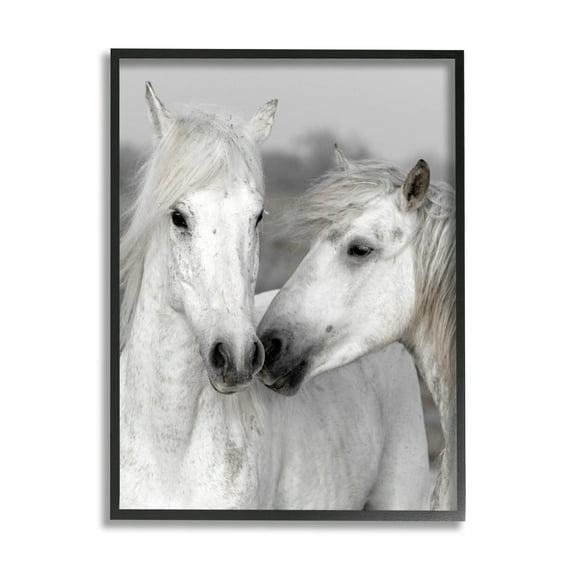 White Horse Kiss Wildlife Animals & Insects Photograph Black Framed Art Print Wall Art
