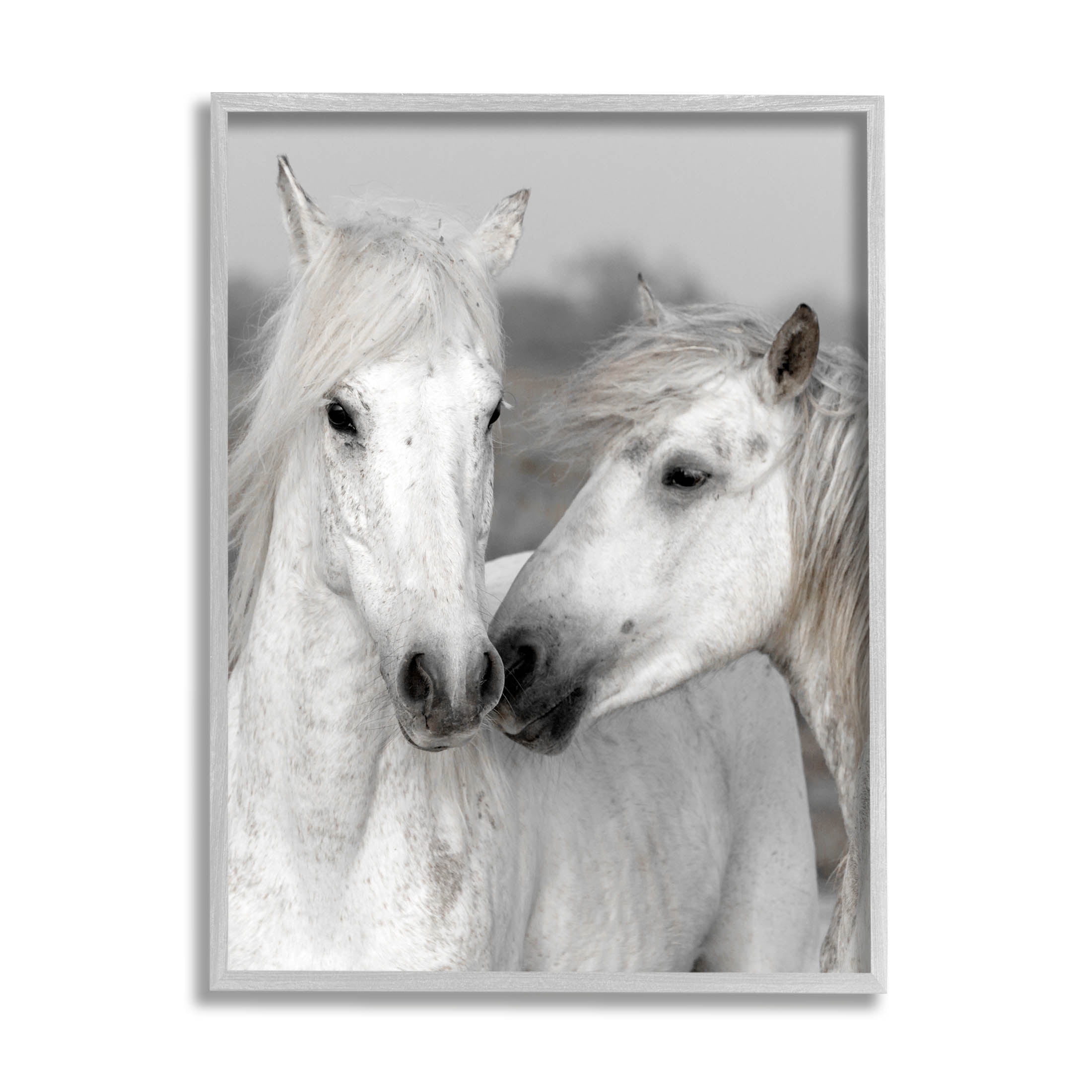 White Horse Kiss Wildlife Animals & Insects Photograph Gray Framed Art Print Wall Art