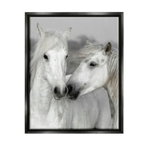 White Horse Kiss Wildlife Animals & Insects Photograph Jet Black Framed Art Print Wall Art