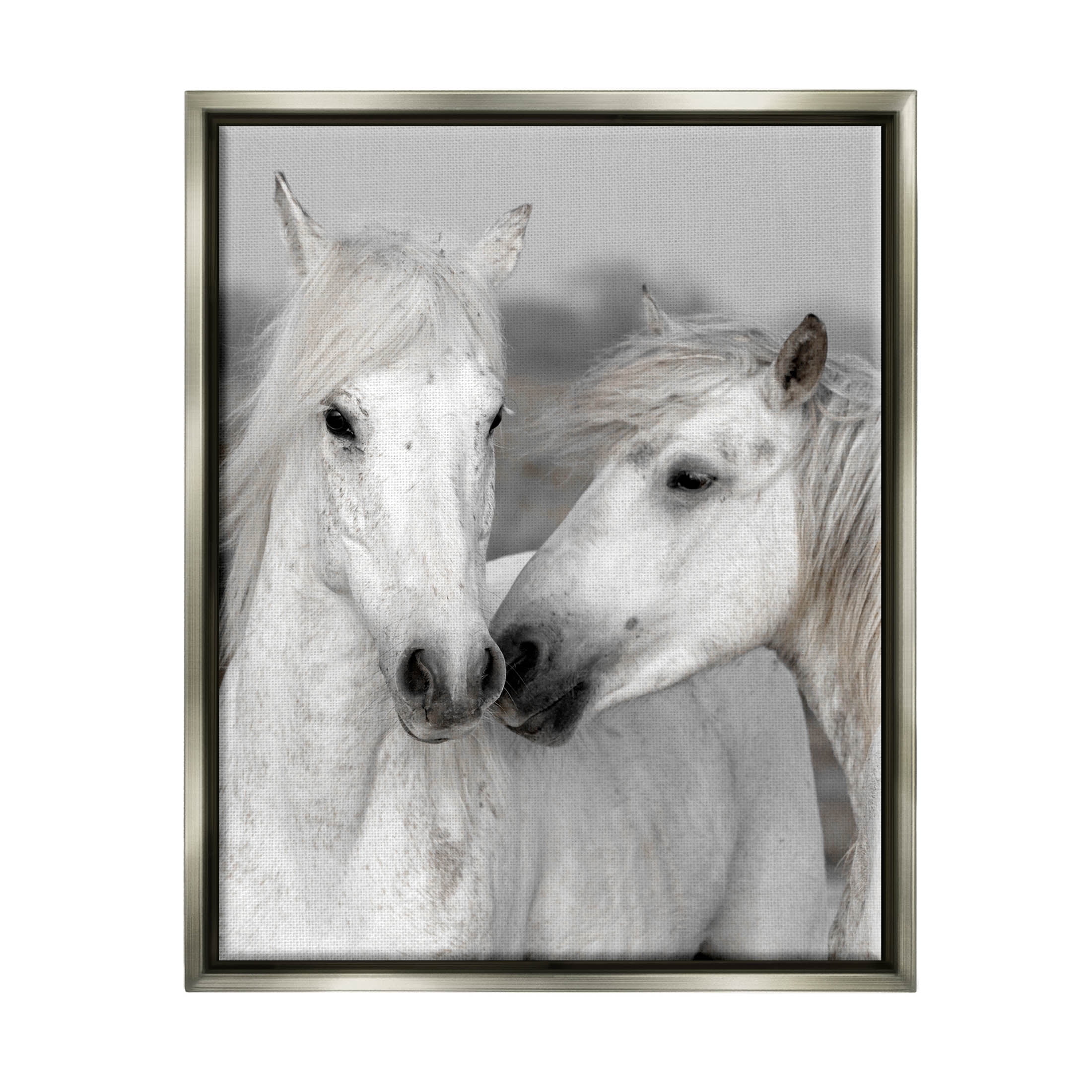 White Horse Kiss Wildlife Animals & Insects Photograph Luster Gray Framed Art Print Wall Art