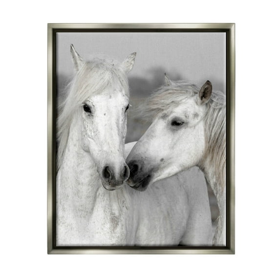 White Horse Kiss Wildlife Animals & Insects Photograph Luster Gray Framed Art Print Wall Art