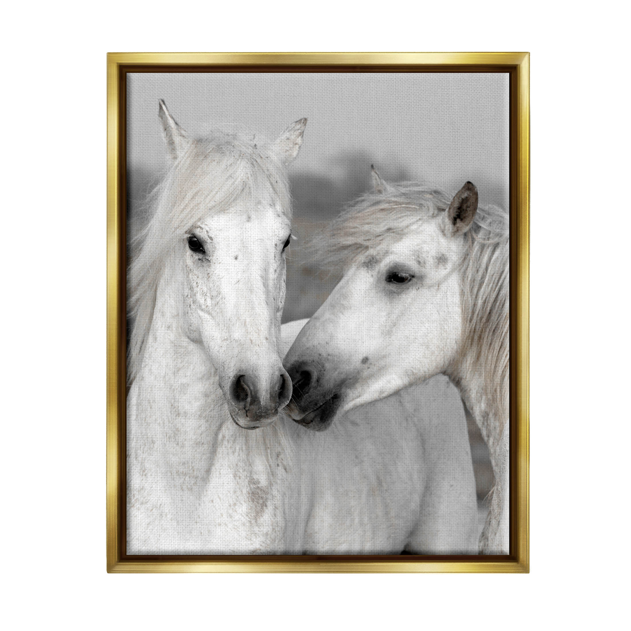 White Horse Kiss Wildlife Animals & Insects Photograph Metallic Gold Framed Art Print Wall Art