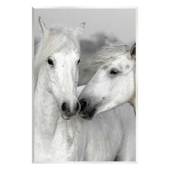 White Horse Kiss Wildlife Animals & Insects Photograph Unframed Art Print Wall Art