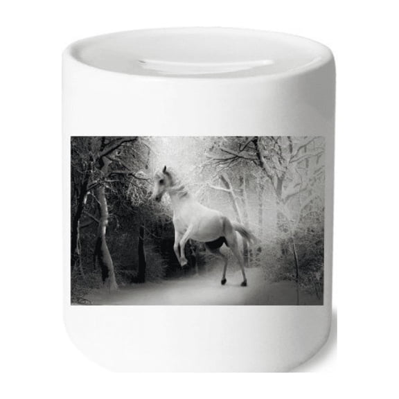 White Horse Science Nature Scenery Money Box Cerac Coin Case Piggy Bank