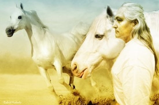 White Horses Canvas Art - Robert Michaels (24 x 16)