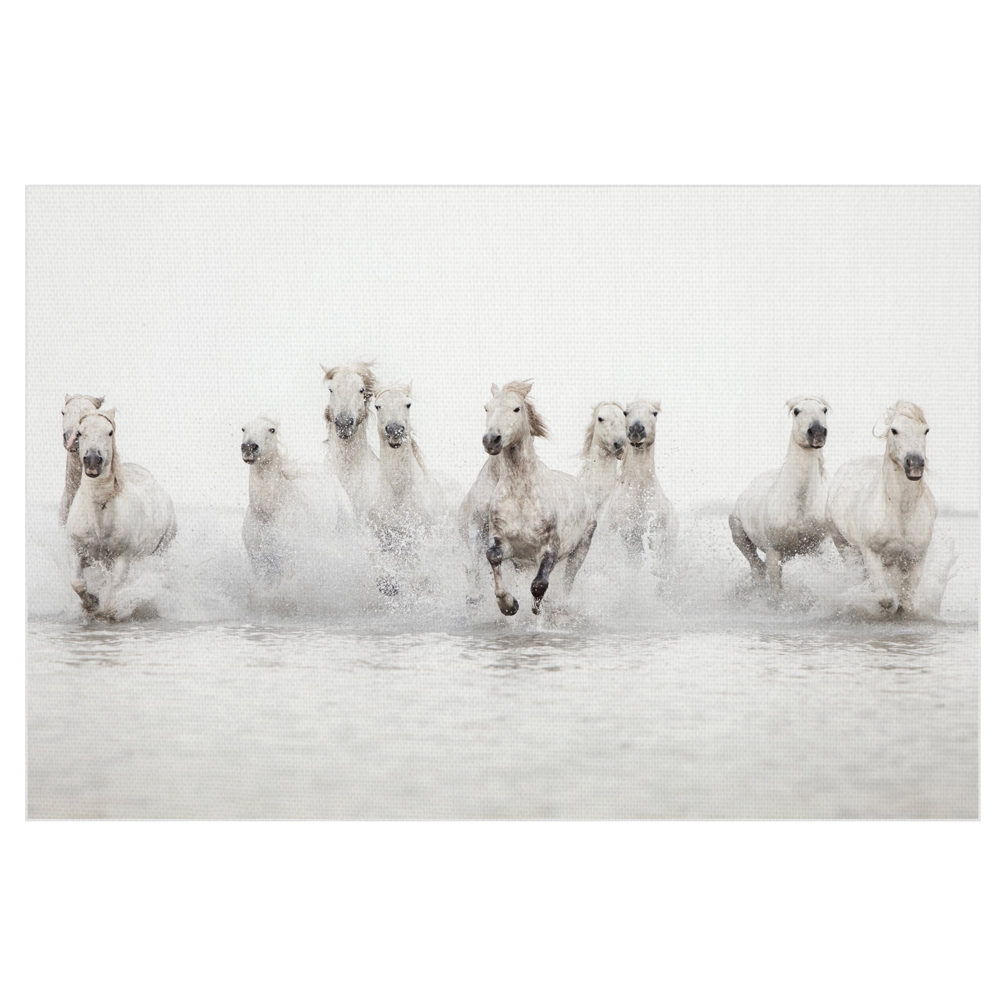 ⭐︎幻のWHITE HORSE⭐︎ White Horse By Joris Hoefnagel 1560-99