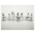 thumbnail image 1 of White Horses by Irene Suchocki Running Wild Horses Photo Canvas Art, 1 of 4