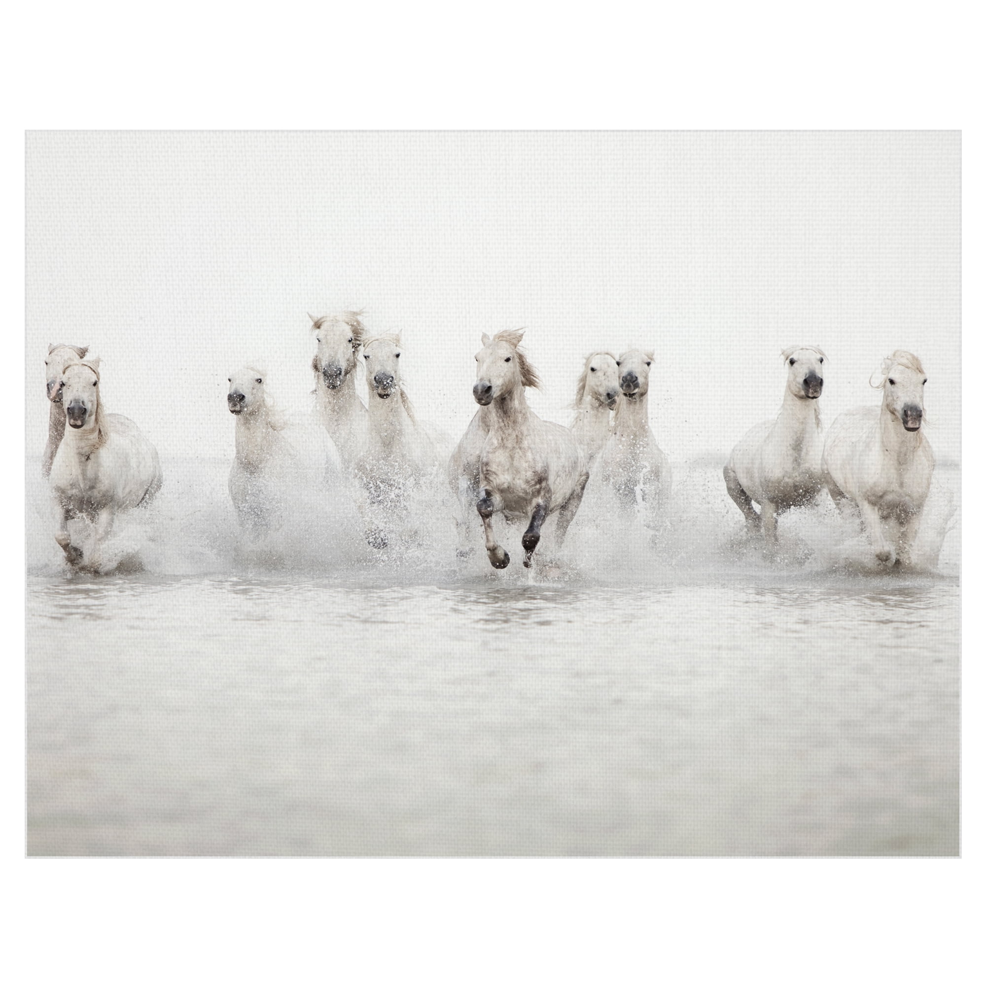 White Horses Running Wild Canvas Print for Kids Room