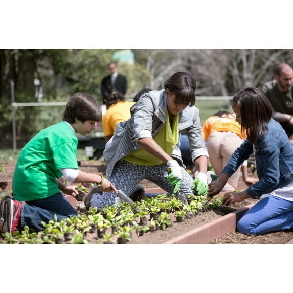 White House Kitchen Garden Spring Planting With Michelle Obama And School Children. South Lawn History