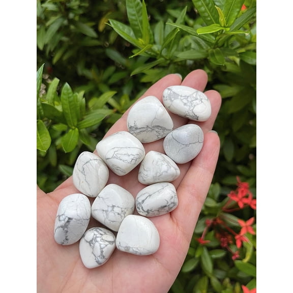White Howlite Tumbled Stones, Polished Natural White Howlite Gemstone, White Howlite Healing Crystals (White Howlite, 1 Pound)