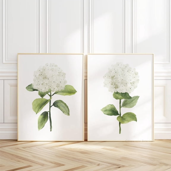 White Hydrangea Botanical Elegant Home Decor Set 2 Unframed Paper Print 8x12