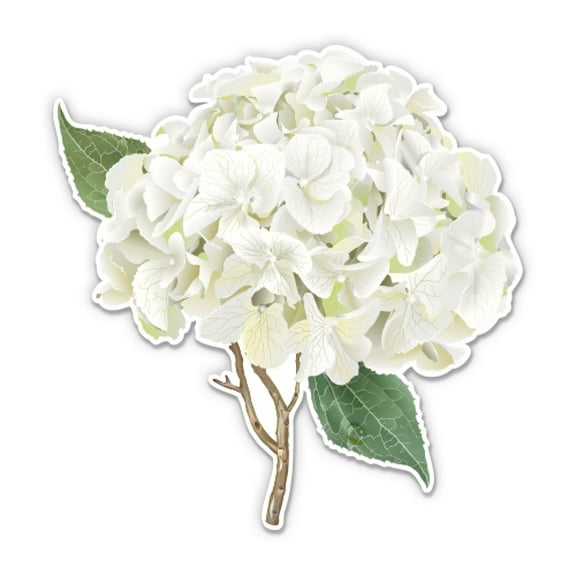 White Hydrangea Flower - 3" Vinyl Sticker - For Car Laptop Water Bottle Phone - Waterproof Decal
