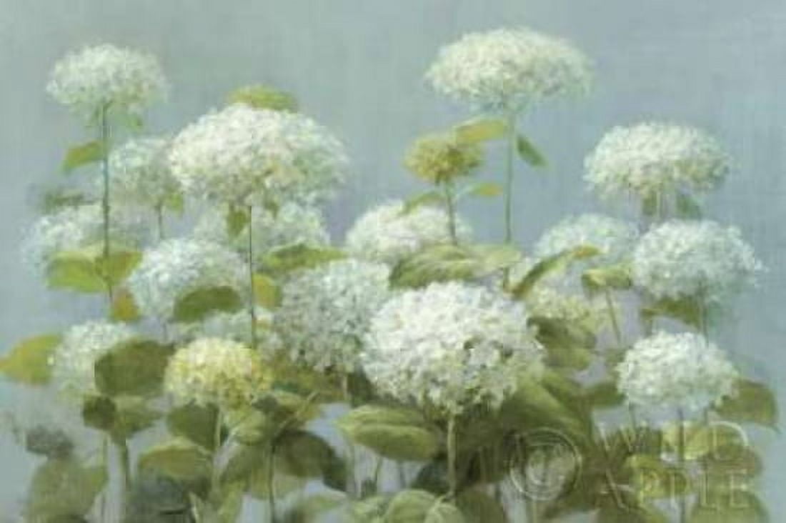White Hydrangea Garden Canvas Art - Danhui Nai (12 x 18)