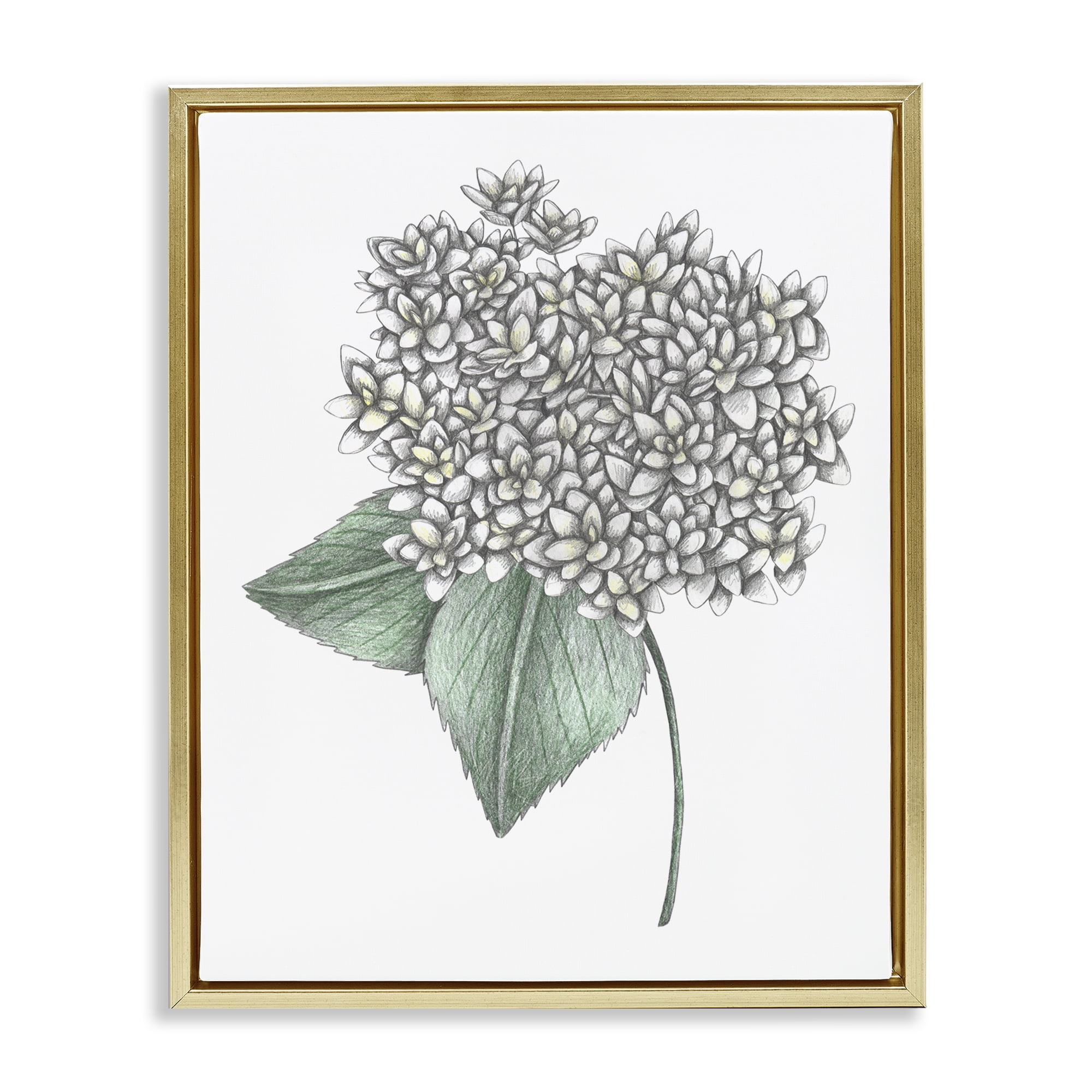 White Hydrangea Sketch Blossom Gold Framed Floater Canvas Wall Art, design by Cecilia Battaini