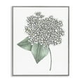 thumbnail image 1 of White Hydrangea Sketch Blossom Gray Framed Giclee Art, design by Cecilia Battaini, 1 of 9