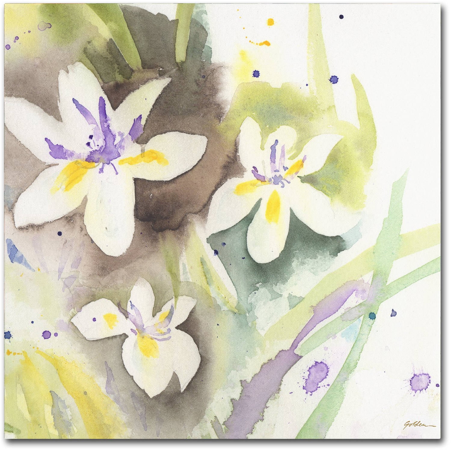 "White Iris" Canvas Art by Sheila Golden