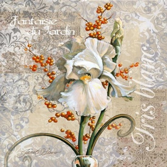 White Iris Fantasy Canvas Art - Janet Stever (18 x 18)