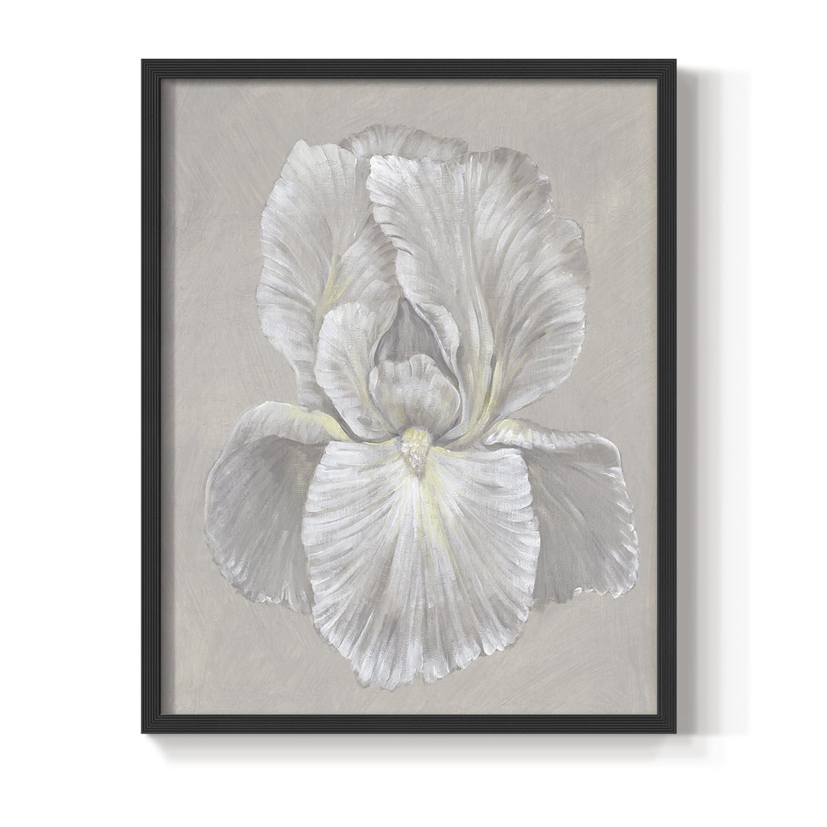 White Iris I Framed Print in Black Solid Wood 8 x 10 Framed Print