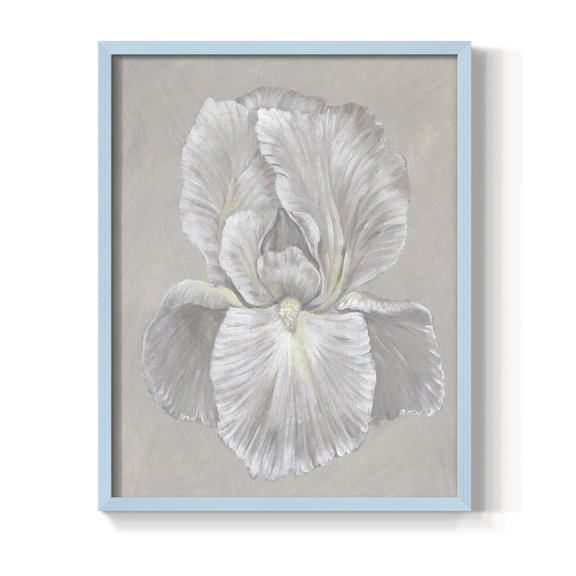 White Iris I Framed Print in Blue Solid Wood 8 x 10 Framed Print