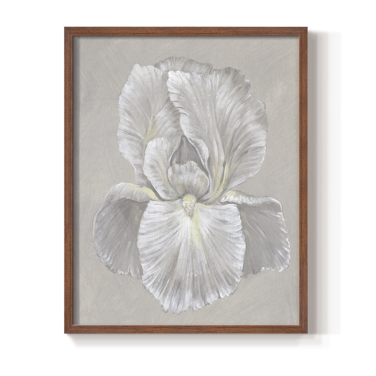 White Iris I Framed Print in Brown Solid Wood 8 x 10 Framed Print
