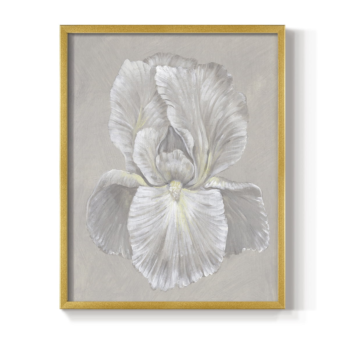 White Iris I Framed Print in Gold Solid Wood 8 x 10 Framed Print