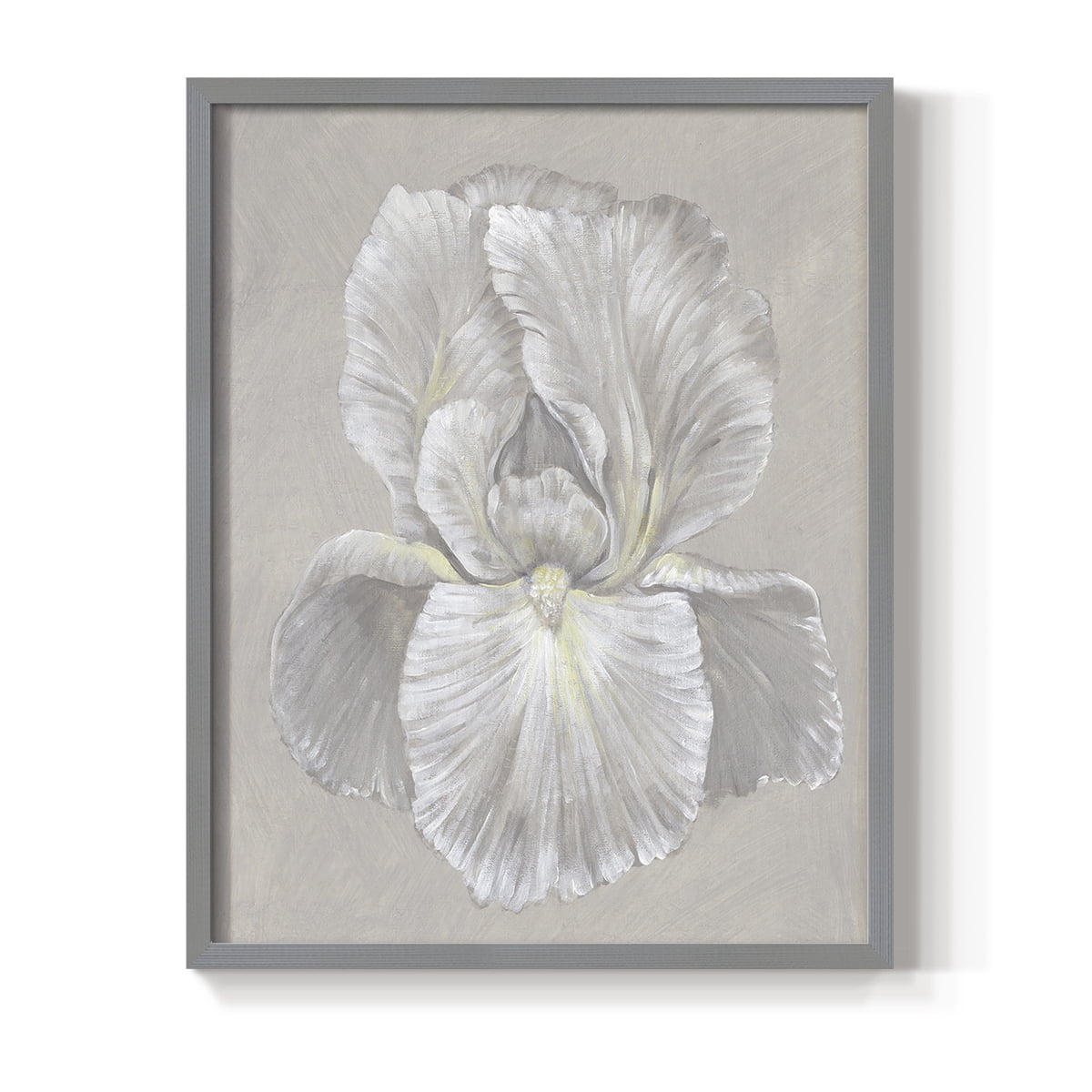 White Iris I Framed Print in Gray Solid Wood 11 x 14 Framed Print