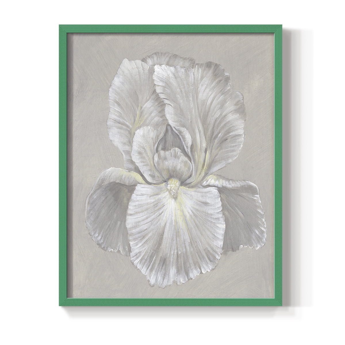 White Iris I Framed Print in Green Solid Wood 11 x 14 Framed Print