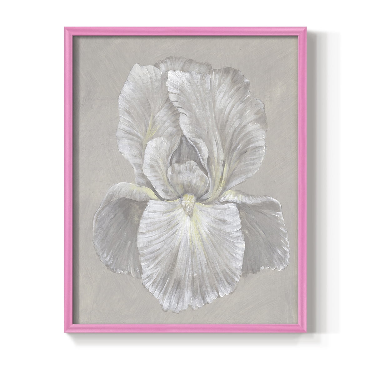 White Iris I Framed Print in Pink Solid Wood 11 x 14 Framed Print