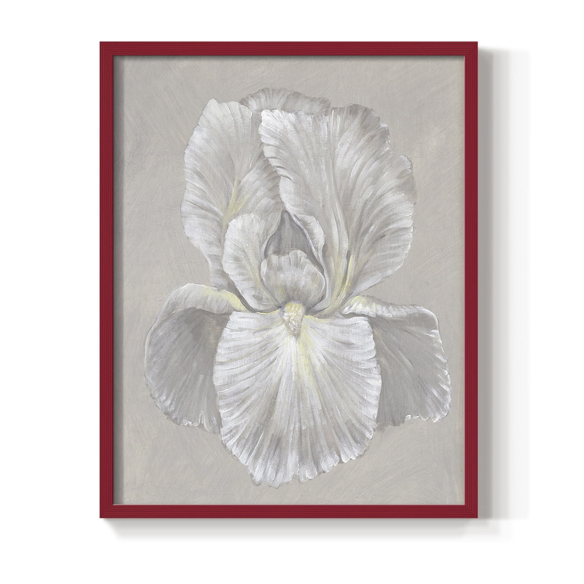 White Iris I Framed Print in Red Solid Wood 8 x 10 Framed Print