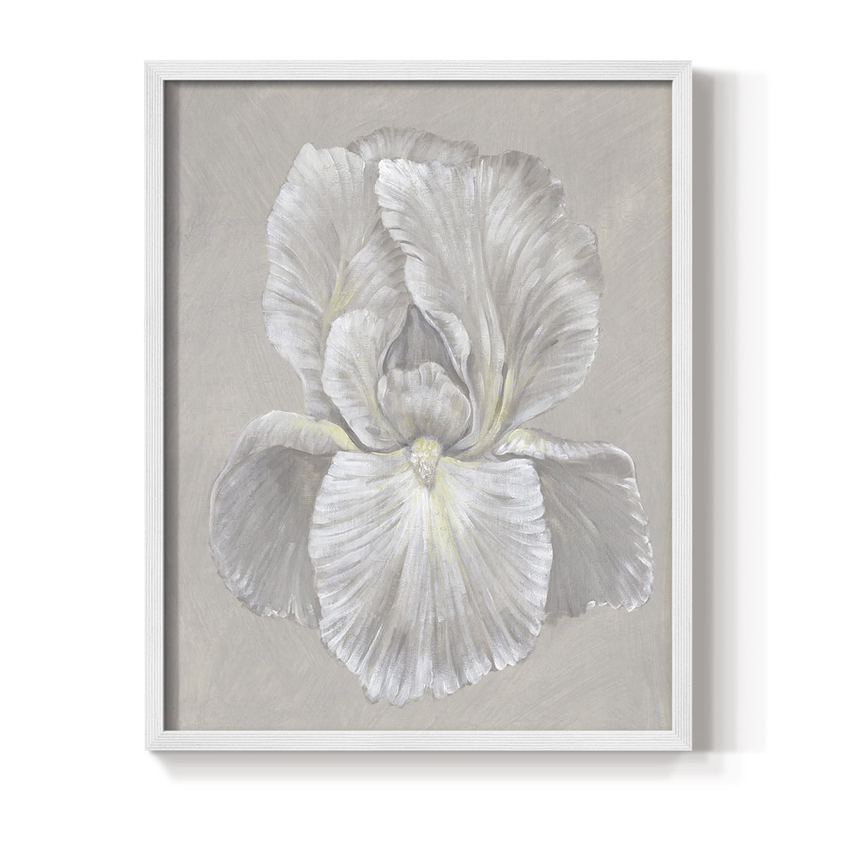 White Iris I Framed Print in White Solid Wood 11 x 14 Framed Print