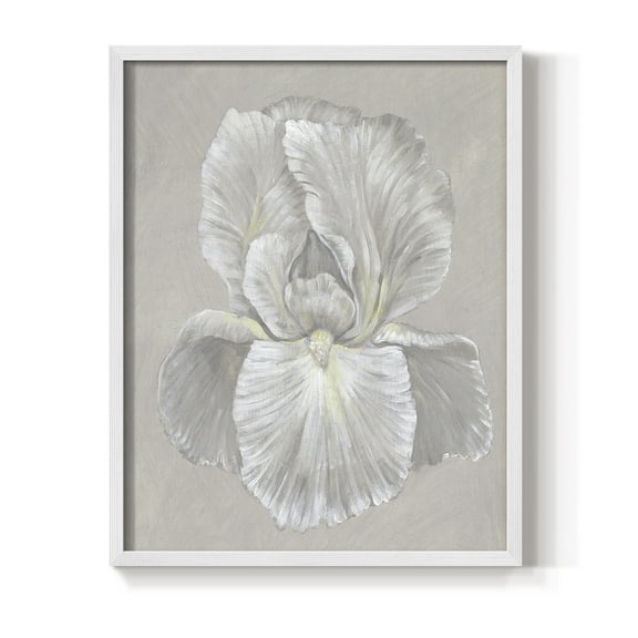White Iris I Framed Print in White Solid Wood 8 x 10 Framed Print