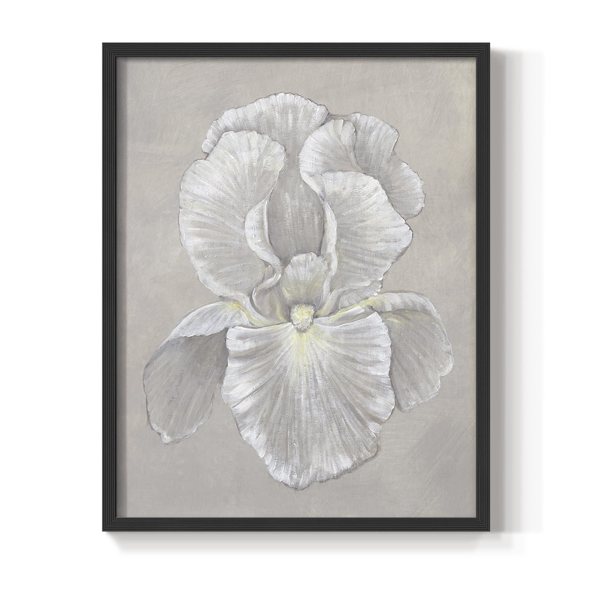 White Iris II Framed Print in Black Solid Wood 16 x 20 Framed Print
