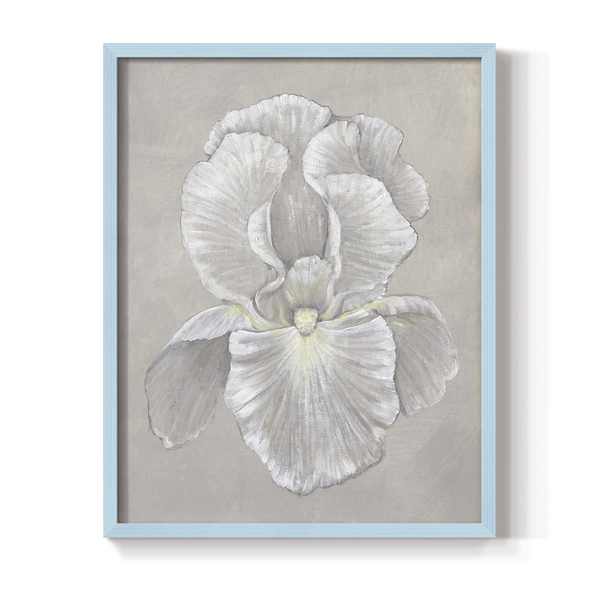 White Iris II Framed Print in Blue Solid Wood 8 x 10 Framed Print