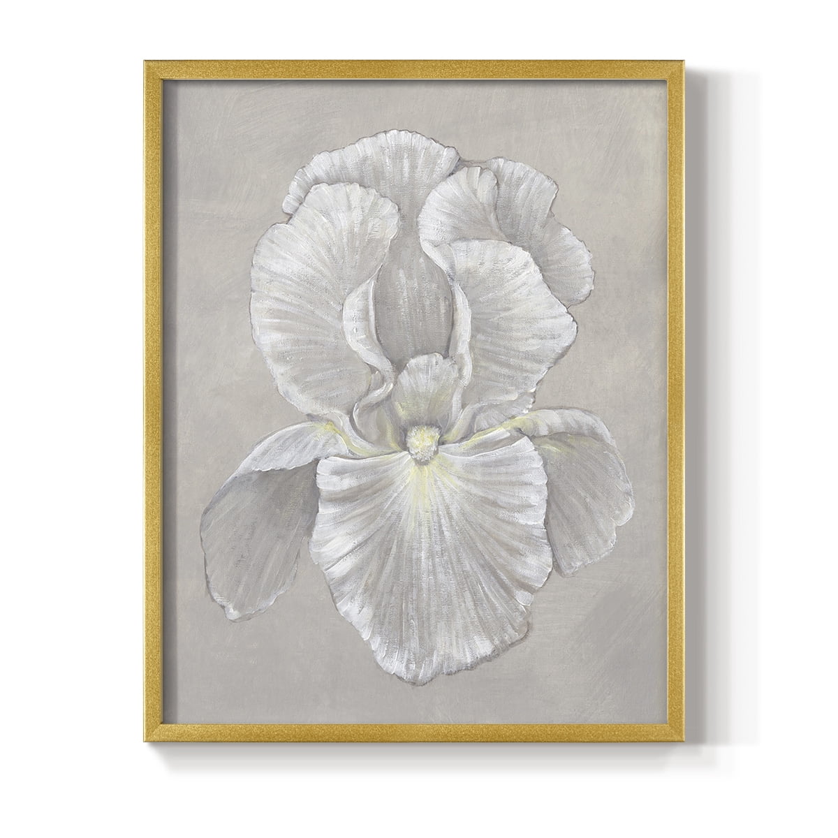 White Iris II Framed Print in Gold Solid Wood 16 x 20 Framed Print