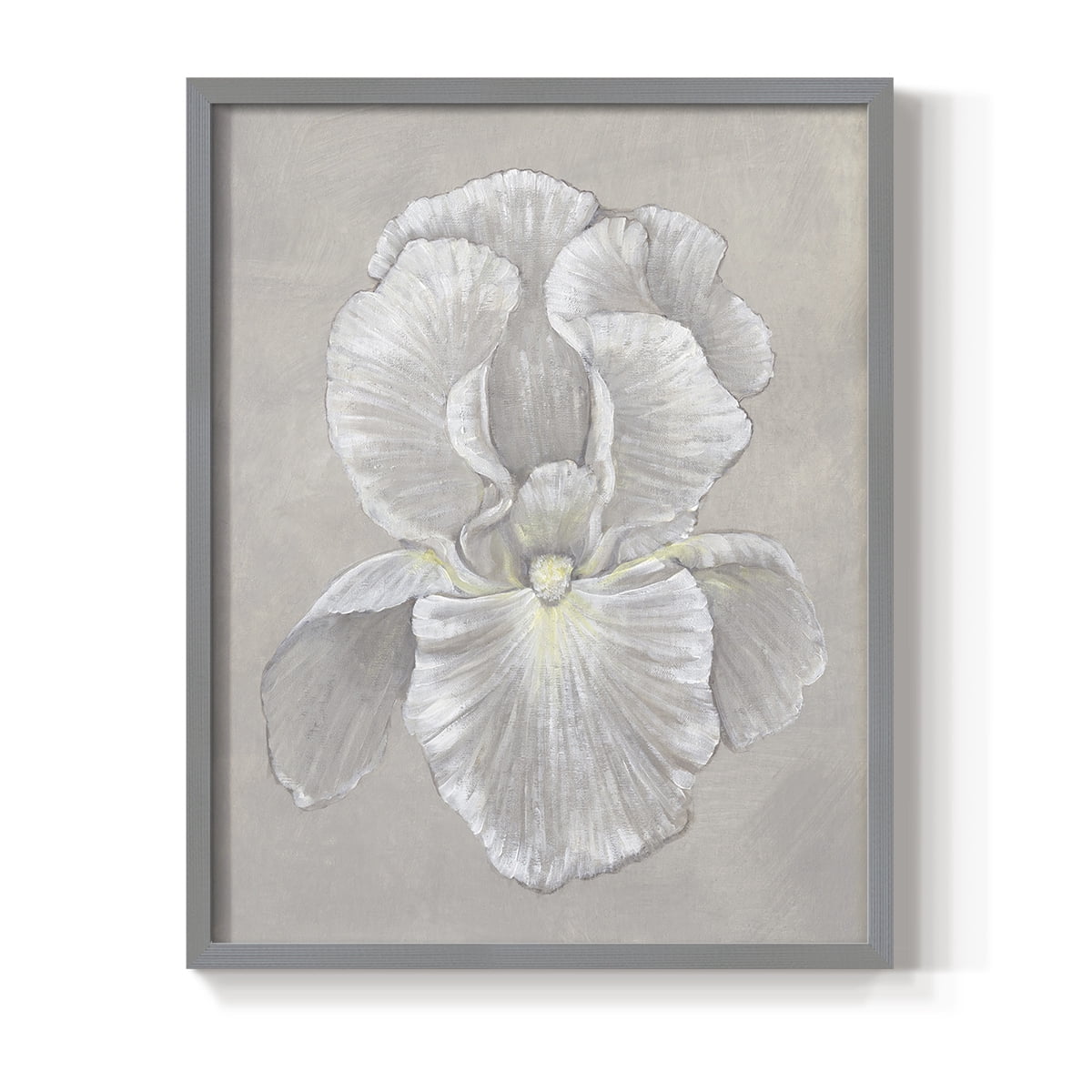 White Iris II Framed Print in Gray Solid Wood 8 x 10 Framed Print