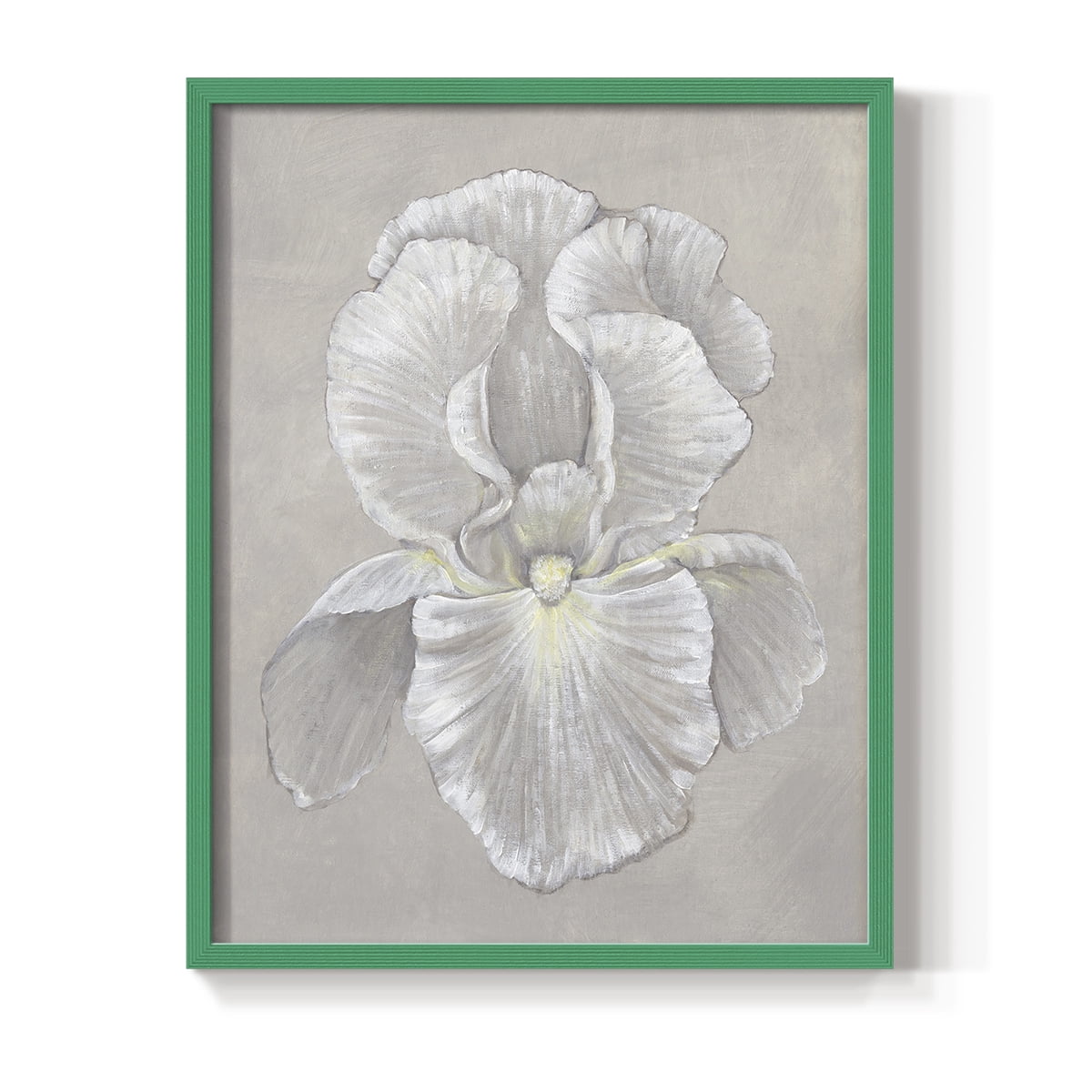 White Iris II Framed Print in Green Solid Wood 11 x 14 Framed Print