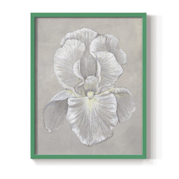 White Iris II Framed Print in Green Solid Wood 8 x 10 Framed Print