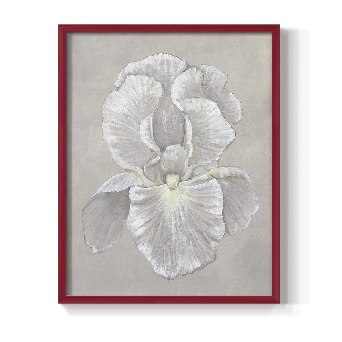 White Iris II Framed Print in Red Solid Wood 8 x 10 Framed Print