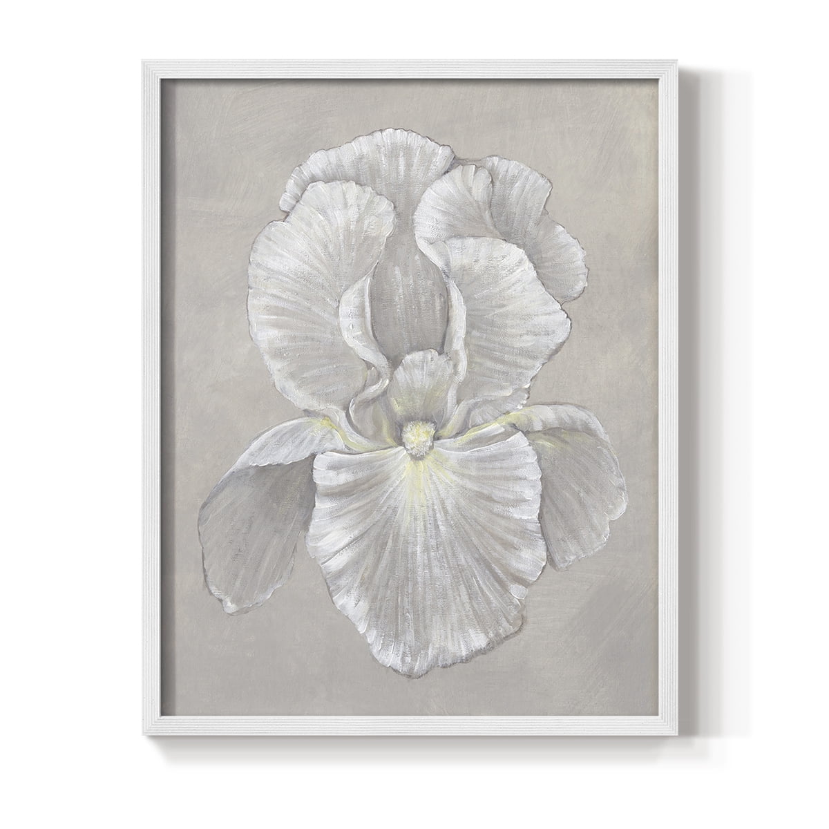 White Iris II Framed Print in White Solid Wood 8 x 10 Framed Print