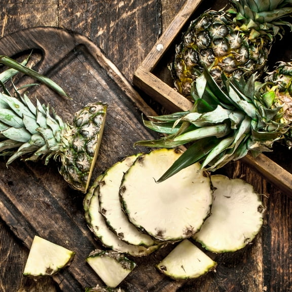 White Jade Pineapple Plant 4-7" Tall for Planting, Pineapple Plant, Ananas Comosus, Tropical Fruit Plant, Outdoor Garden