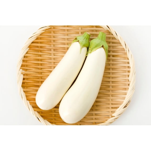 White Knight Eggplant Premium Seed Packet
