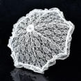 thumbnail image 1 of White Lace Parasol Umbrella, Wedding Accessories Umbrellas for Bridesmaids and Flower Girls Photo Prop, 1 of 5