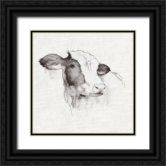 White Ladder 15x15 Black Ornate Wood Framed with Double Matting Museum Art Print Titled - Cow Ink Drawing