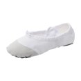 thumbnail image 1 of White Ladies Lace-Up Dance Footwear Plus Size Design Fall Winter Soft Sole Canvas Practice Shoes For Training And Recreational Use, 1 of 6