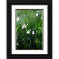 thumbnail image 1 of White, Leesa 13x18 Black Ornate Wood Framed with Double Matting Museum Art Print Titled - Dew Drops V, 1 of 4