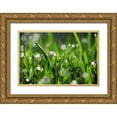 thumbnail image 1 of White, Leesa 24x17 Gold Ornate Wood Framed with Double Matting Museum Art Print Titled - Dew Drops III, 1 of 4