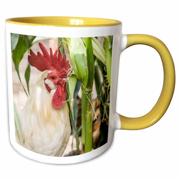 3drose, White Leghorn Rooster Eating an Ear of Corn from a Garden., 11oz Two-tone Yellow Mug