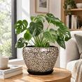 White Leopard 8 Inch Ceramic Plant Pot Indoor Outdoor Planter - Walmart.com