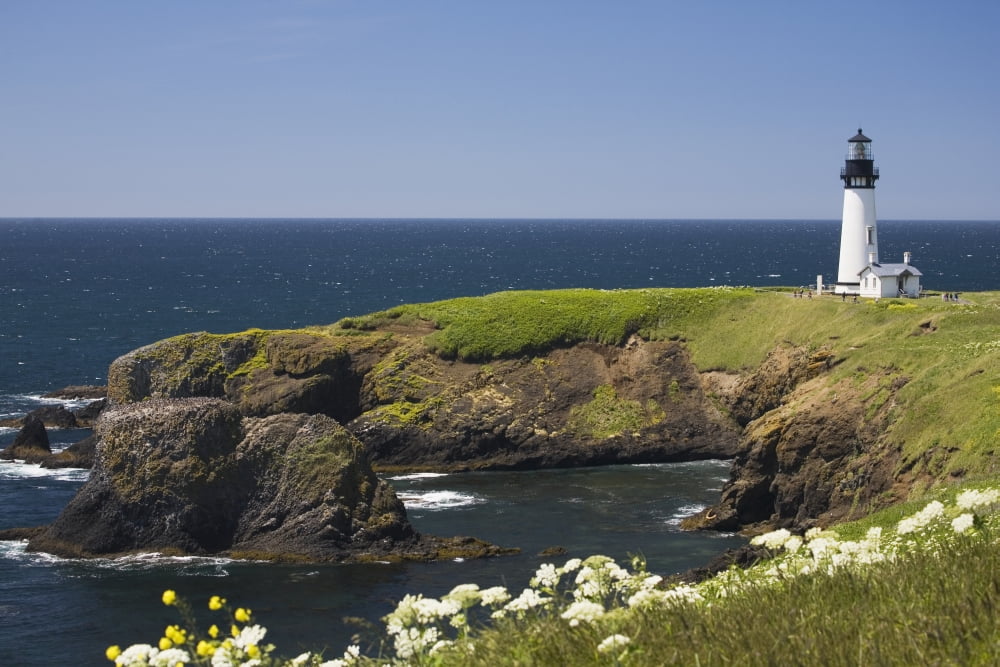 White Lighthouse On The Ocean With Blue Sky And Wildflowers Newport Oregon United States Of America Canvas Art - Michael Interisano Design Pics (19 x 12)