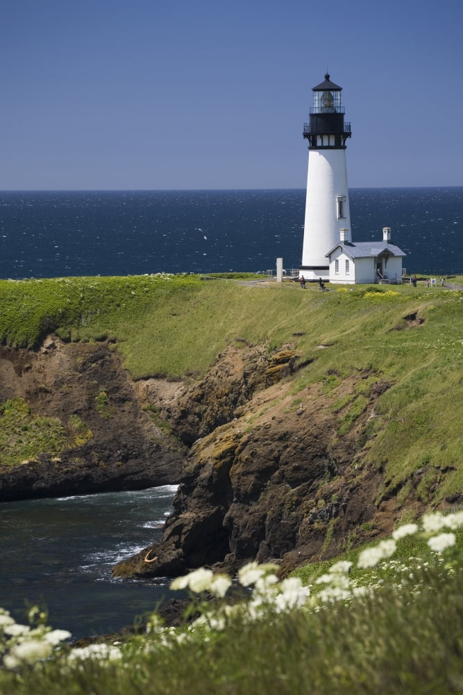 White Lighthouse On The Ocean With Blue Sky And Wildflowers Newport Oregon United States Of America Canvas Art - Michael Interisano Design Pics (24 x 38)